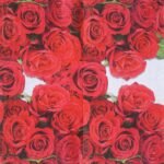 Decoupage Paper Napkins - Red Roses