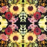 Decoupage Paper Napkins - Sunny Flowers Black Sunflower