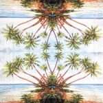 Decoupage Paper Napkins - Palm Beach