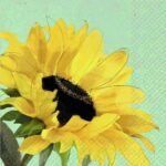 Decoupage Paper Napkins - Mixed Florals 1 (9 Sheets)