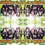 Decoupage Paper Napkins - Three Apes