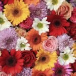 Decoupage Paper Napkins - Gerbera