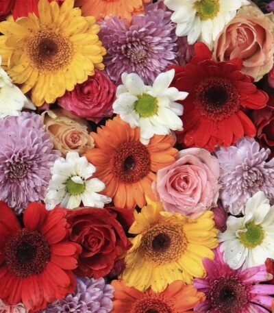 Decoupage Paper Napkins - Gerbera