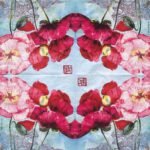 Decoupage Paper Napkins - Poppy - Pavot