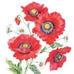 Decoupage Paper Napkins - Poppy Scene