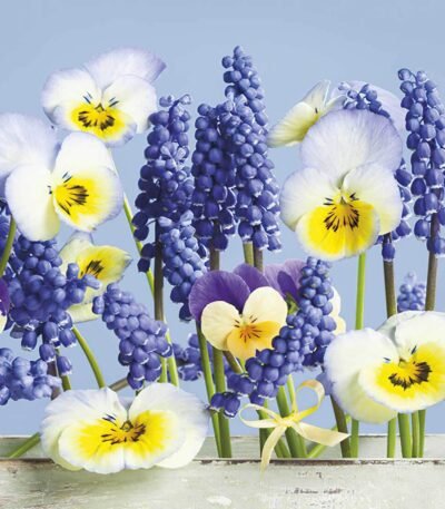 Decoupage Paper Napkins - Blue Spring Story