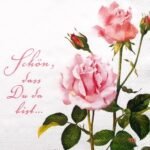Decoupage Paper Napkins - A Rose For You