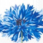 Decoupage Paper Napkins - Sora