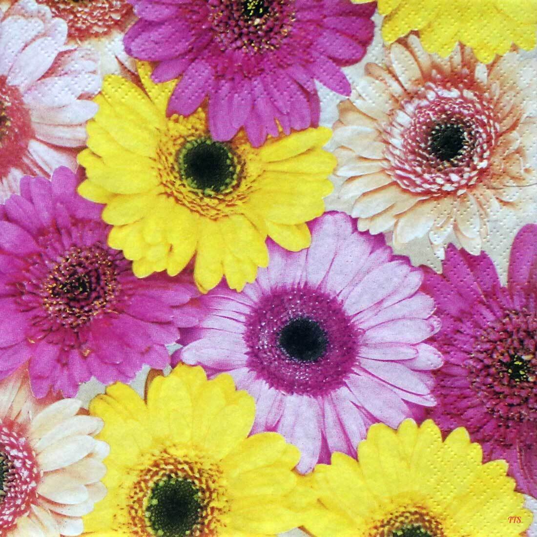 Decoupage Paper Napkins - Colourful Gerberas - The Tissue Store Decoupage Paper Napkins - Colourful Gerberas
