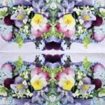 Decoupage Paper Napkins - Violets & Forget Me Not