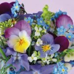 Decoupage Paper Napkins - Violets & Forget Me Not