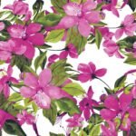 Decoupage Paper Napkins - Flowering Clematis Pink