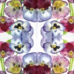 Decoupage Paper Napkins - Pansies