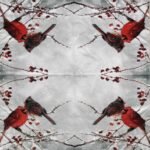 Decoupage Paper Napkins - Cardinal Birds
