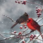 Decoupage Paper Napkins - Cardinal Birds