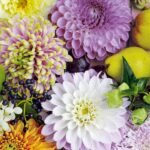 Decoupage Paper Napkins - Mara