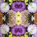 Decoupage Paper Napkins - Mara