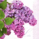 Decoupage Paper Napkins - Lilac Twig