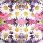 Decoupage Paper Napkins - Marguerite Daisy
