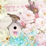 Decoupage Paper Napkins - Birdhouse