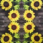 Decoupage Paper Napkins - Two Sunflowers