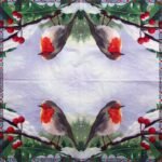 Decoupage Paper Napkins - Robin Berry