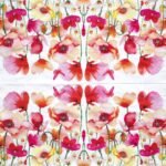 Decoupage Paper Napkins - Aquarell Poppies & Daisies