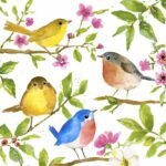 Decoupage Paper Napkins - Beep, Beep