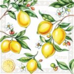 Decoupage Paper Napkins - Citrus