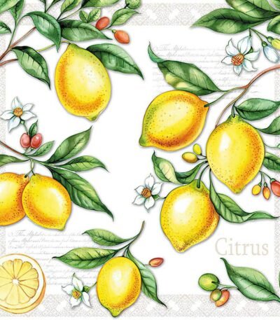 Decoupage Paper Napkins - Citrus