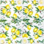 Decoupage Paper Napkins - Citrus