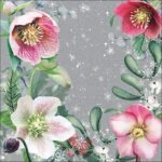 Decoupage Paper Napkins - Helleborus Orientalis Grey