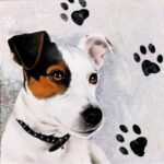 Decoupage Paper Napkins - Dog Jack Russel