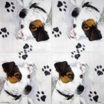 Decoupage Paper Napkins - Dog Jack Russel
