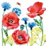 Decoupage Paper Napkins - Cornflower And Poppy