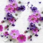 Decoupage Paper Napkins - Summer Florals