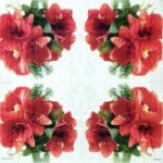 Decoupage Paper Napkins - Amaryllis