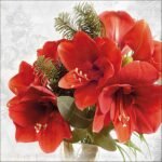 Decoupage Paper Napkins - Amaryllis