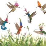 Decoupage Paper Napkins - Meadow Buzz
