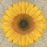 Decoupage Paper Napkins - Sunflower on Seeds