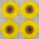 Decoupage Paper Napkins - Sunflower on Seeds