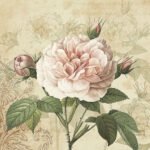 Decoupage Paper Napkins - Vintage Rose with Buds