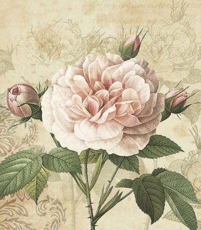 Decoupage Paper Napkins - Vintage Rose with Buds