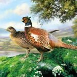 Decoupage Paper Napkins - Pheasant