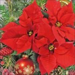 Decoupage Paper Napkins - Red Poinsettia