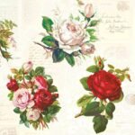Decoupage Paper Napkins - English Roses