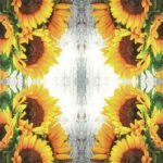 Decoupage Paper Napkins - Clara Sunflower