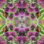 Decoupage Paper Napkins - Allium Love