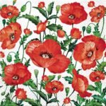 Decoupage Paper Napkins - Flanders Poppy