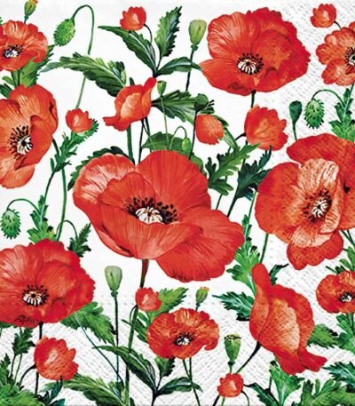 Decoupage Paper Napkins - Flanders Poppy